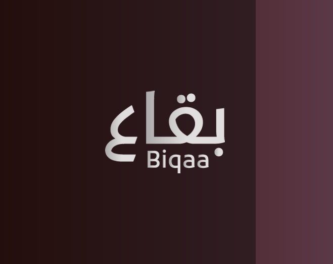بقاع الجنوب