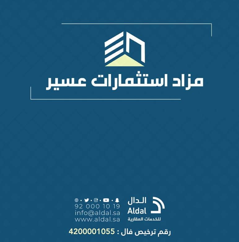 مزاد استثمارات عسير